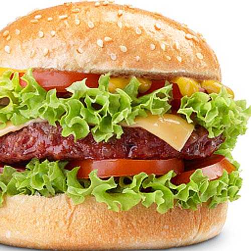 burger isolated on white background