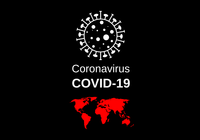 coronavirus update india