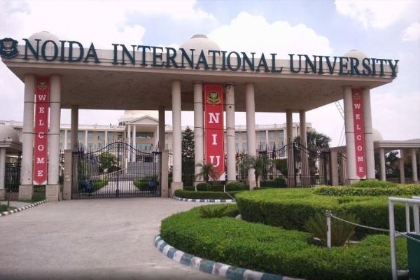 noida international university