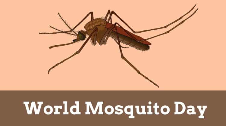 World Mosquito Day 2020