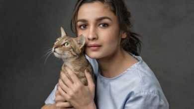 alia bhatt with cat