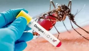 dengue in up