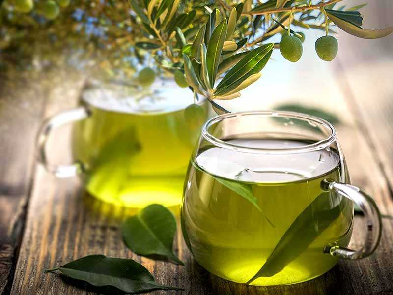 Benefits Of Olive Leaves
