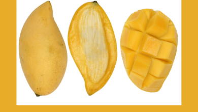 Mango Seed Health Benefits