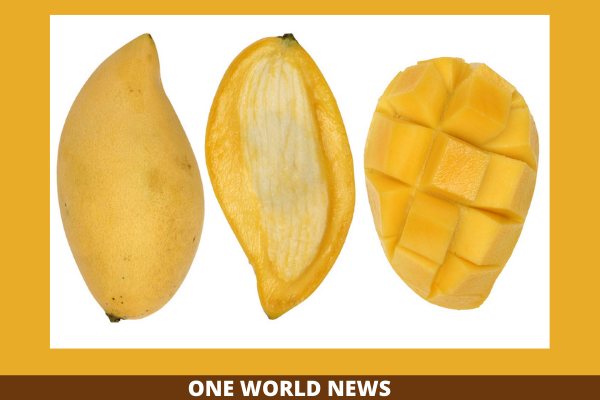 Mango Seed Health Benefits