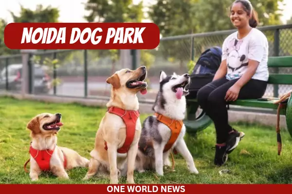 Noida dog park