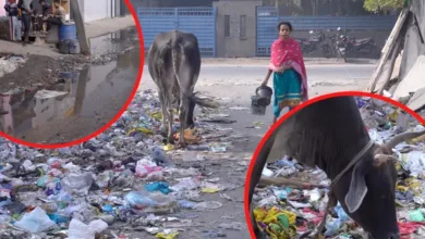 Exclusive ! Okhla Garbage Story :