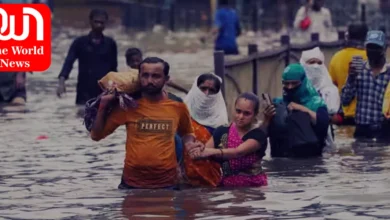 Gujarat Flood Video
