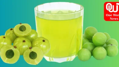 Amla Juice Benefits रोजाना सुबह खाली पेट पिएं आंवले का जूस, सेहत को एक नहीं बल्कि मिलेंगे कई फायदे