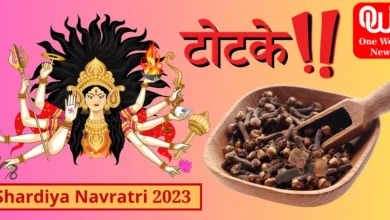 Shardiya Navratri 2023