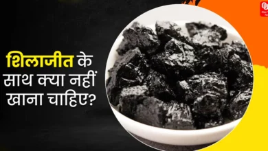 Foods to avoid with Shilajit