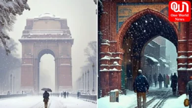 Delhi Snowfall