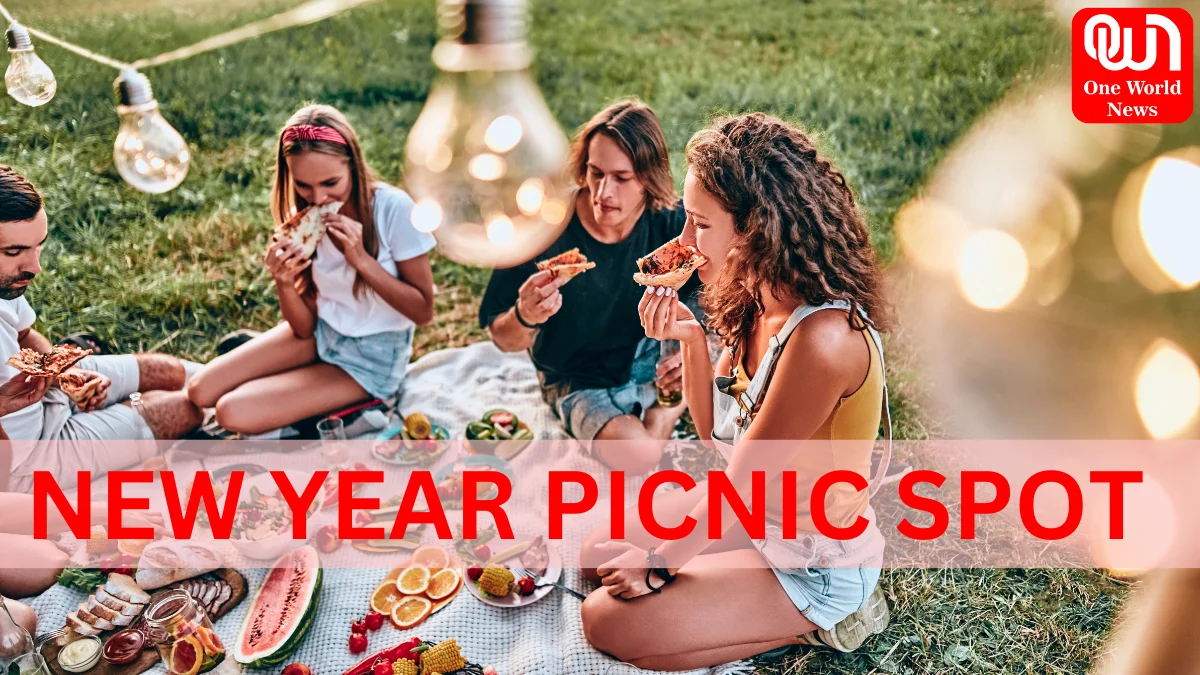 अगर आप भी बना रहे न्यू ईयर पर पिकनिक का प्लान, घर से तैयार करके ले जाएं हल्के और टेस्टी स्नैक्स : New Year 2024 1 New Year 2024
