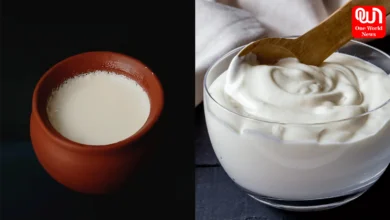 Curd vs Yogurt