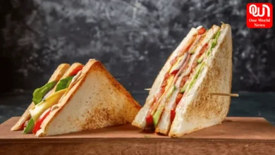 High Protein Sandwiches