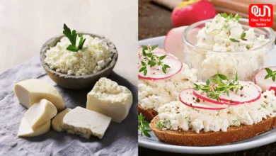 Raw Cottage Cheese