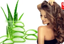 Aloe Vera Hair Care Tips