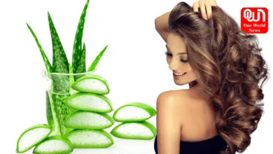 Aloe Vera Hair Care Tips