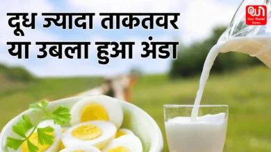 Egg Vs Milk Nutrition