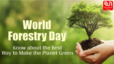 World Forestry Day 2024