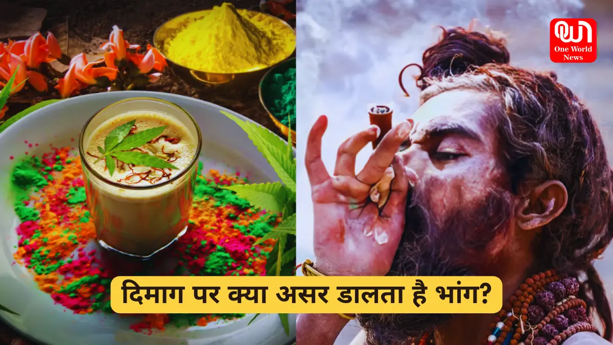 Bhang: कैसा होता है भांग का नशा, क्यों एकदम शांत हो जाता है इंसान? नशे के साथ-साथ इन बीमारियों के लिए भी है फायदेमंद 1 bhang