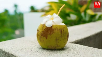 Coconut Water Benefits In Summer