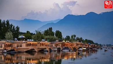 IRCTC Kashmir Tour Package