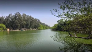 14 06 2023 sanjay lake delhi 1 23441004