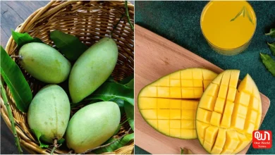 Ripe Mango vs Raw Mango