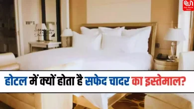 White Bedsheets In Hotels