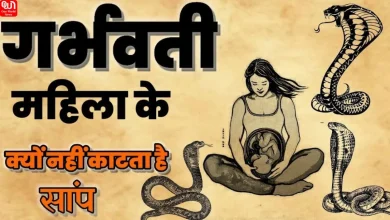 Pregnancy And Snake Myths