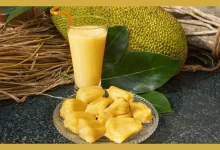 Jackfruit Milk Shake