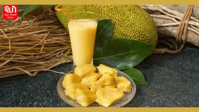 Jackfruit Milk Shake