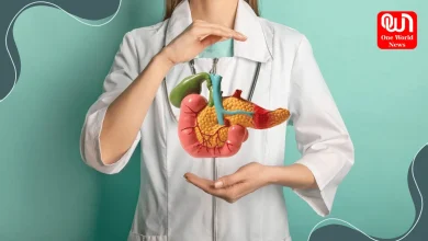 Signs Of Pancreas Damage: पैंक्रियाज है खतरनाक बीमारी, ये लक्षण दिखते ही हो जाएं सावधान 7 Signs Of Pancreas Damage