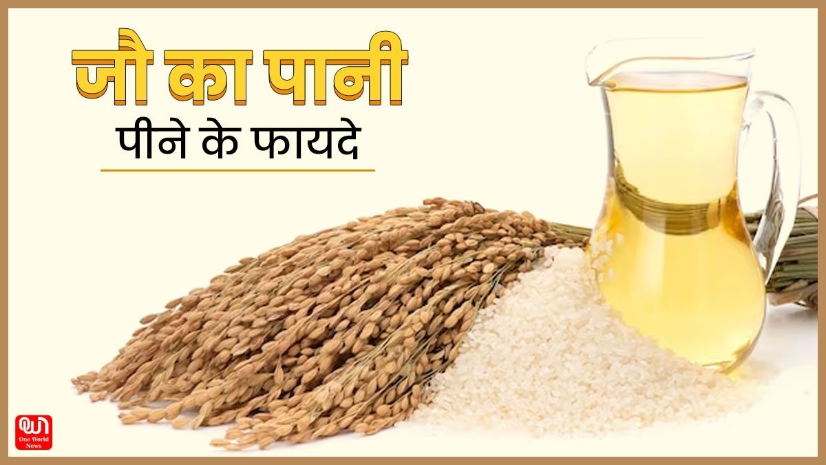 Barley Water Benefits: सेहत के लिए वरदान से कम नहीं है जौ का पानी और जूस, जानें इसे बनाने का आसान तरीका 1 Barley Water Benefits