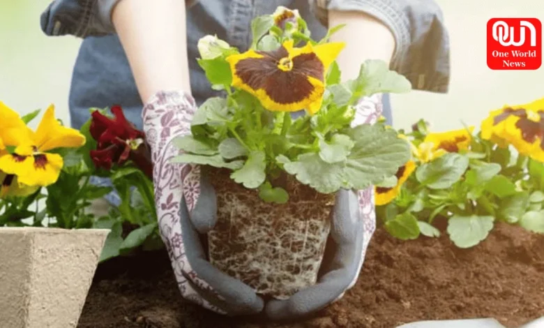 gardening business idea