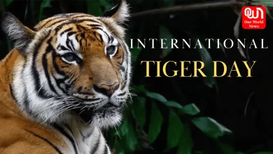  International Tiger Day 2024