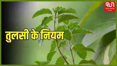 Tulsi Plant Vastu Shastra