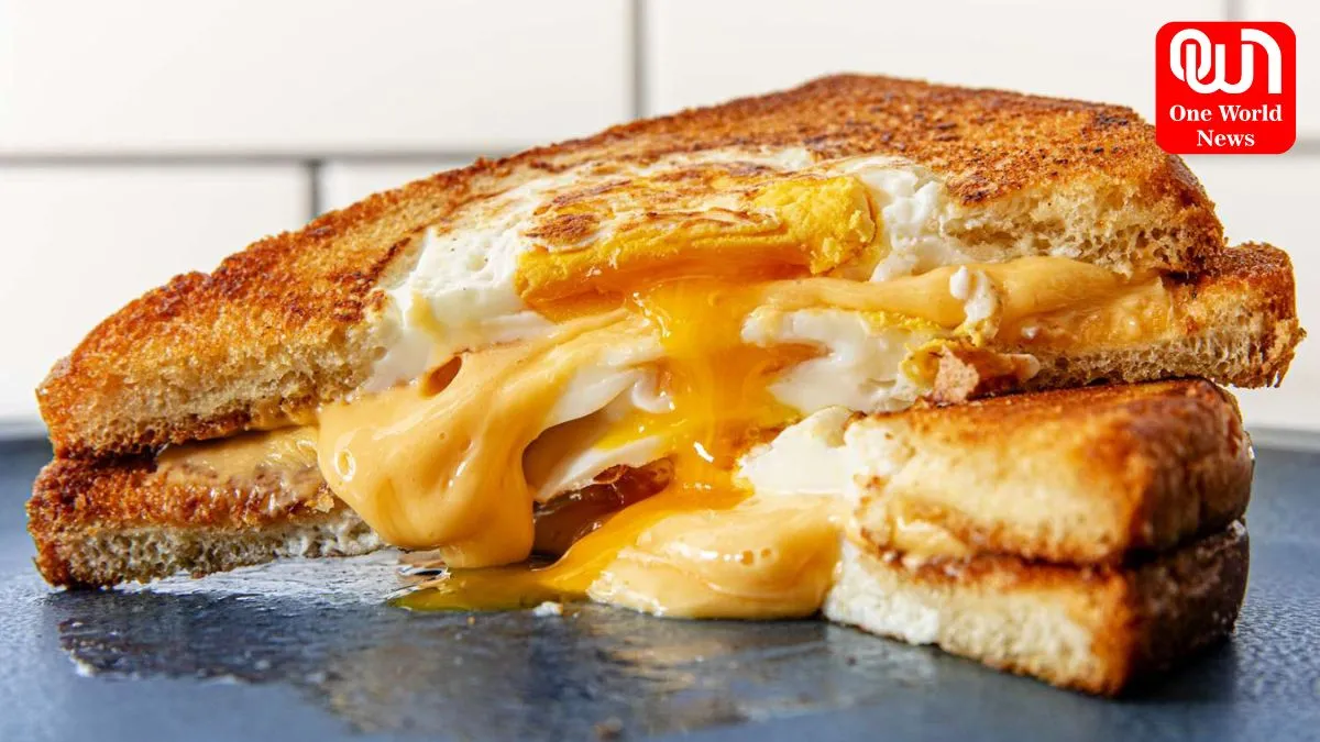 Egg Sandwiches : पोषण का खजाना, ब्रेकफास्ट में शामिल करें ये खास एग सैंडविच रेसिपीज़ 1 Egg Sandwiches