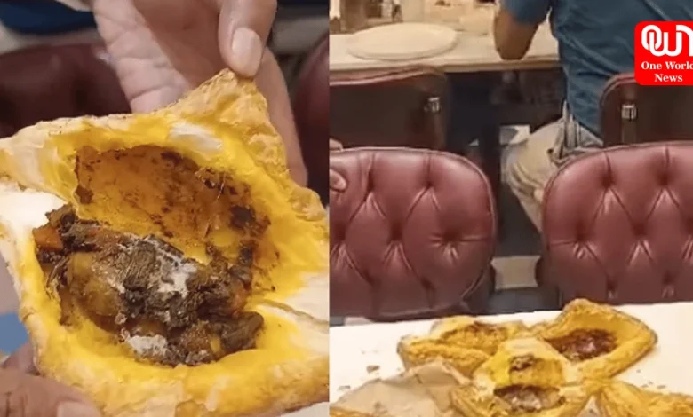 Varanasi News: वाराणसी में फफूंदी लगे पेटीज देकर भड़क गया कस्टमर, वीडियो हुआ वायरल 1 Varanasi News