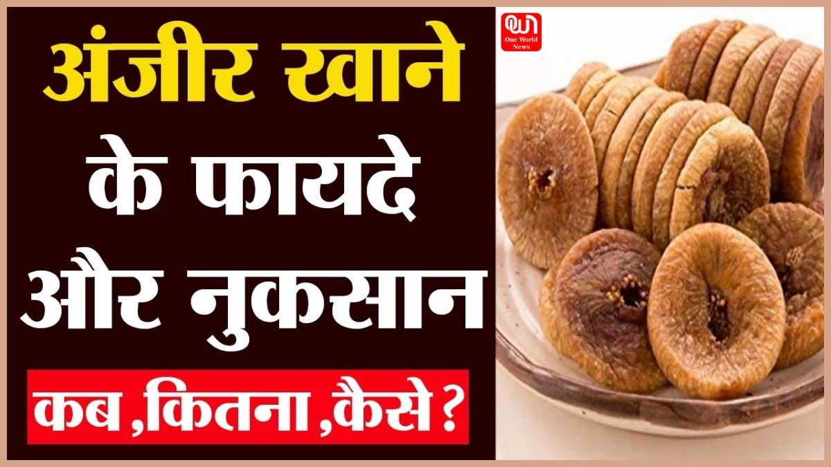 Anjeer Health Benefits: क्या आप भी सेहतमंद रहने के लिए खाते हैं अंजीर? जानें किन लोगों को नहीं खाना चाहिए 1 Anjeer Health Benefits