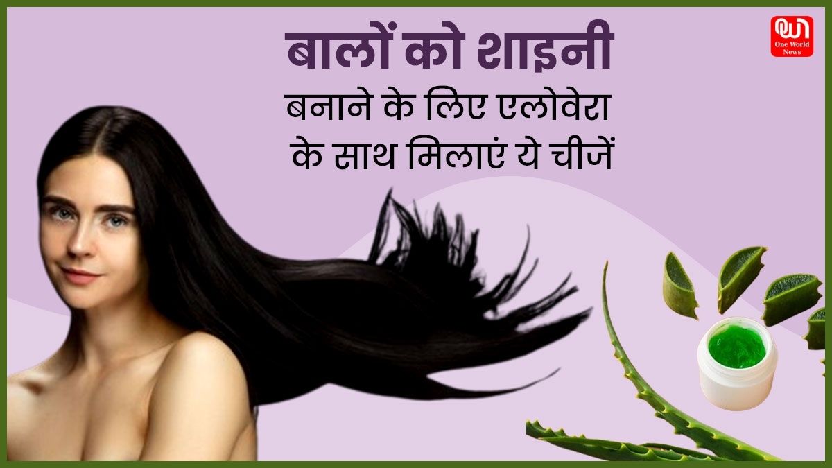 Remedy For Silky Long Hair: बालों में है रूखापन? घर पर ऐलोवेरा में ये चीजें मिलाकर बनाएं हेयर मास्क, एक ही बार इस्तेमाल करने से बाल हो जाएंगे सॉफ्ट और शाइनी 1 Remedy For Silky Long Hair