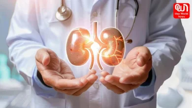 healthy kidney