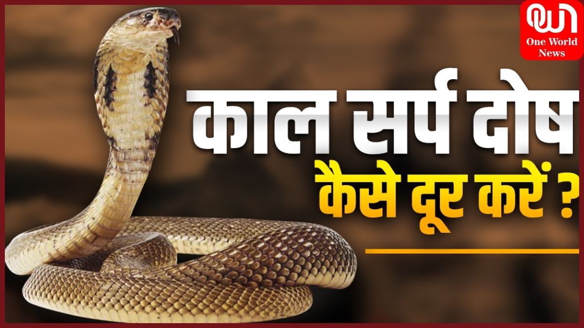 Kaalsarp Dosh ke Upay: कुंडली में है कालसर्प दोष तो नाग पंचमी के दिन जरूर करें ये उपाय, जीवन में आ रही परेशानियां हो जाएंगी खत्म 1 Kaalsarp Dosh ke Upay