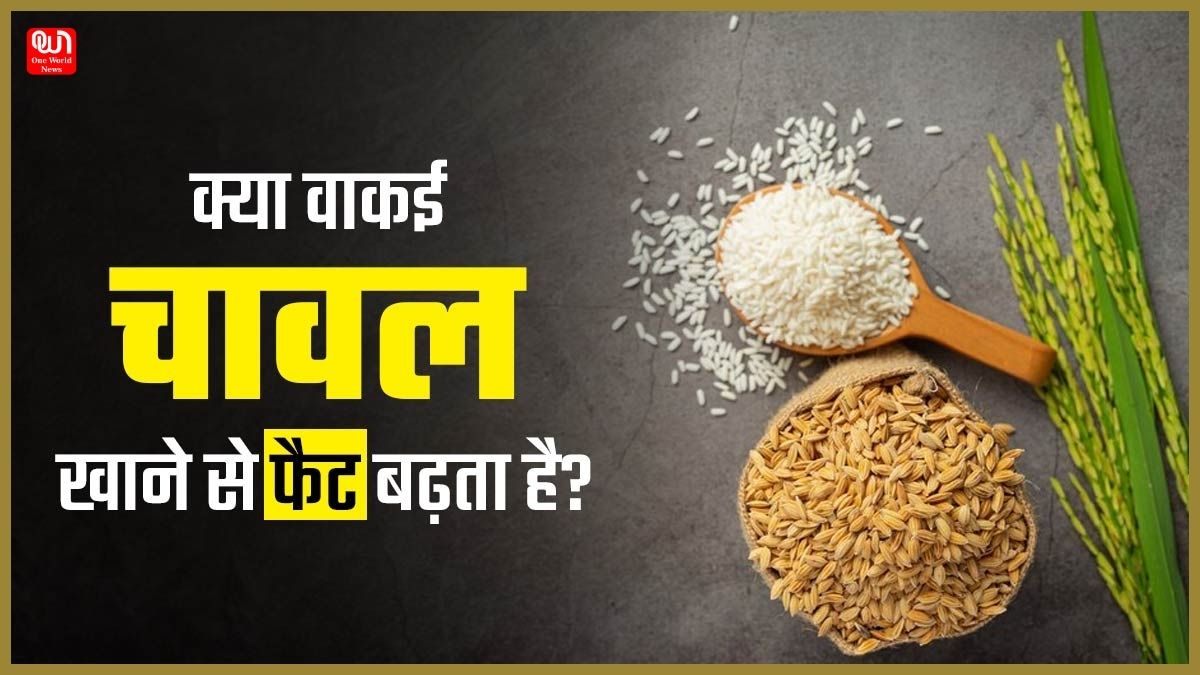 Do Eating Rice Causes Obesity: क्या वाकई चावल खाने से बढ़ जाता है वजन? जानें क्या कहतें हैं एक्सपर्ट्स 1 Do Eating Rice Causes Obesity