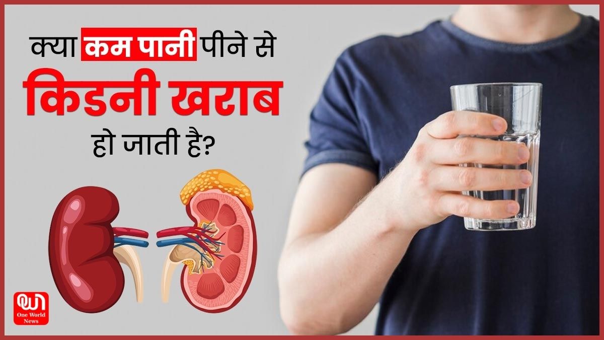 Water Per Day For Kidney: एक दिन में कितने लीटर पानी पीना चाहिए? किडनी को डैमेज होने से बचाने के लिए रोजाना पिएं तीन लीटर पानी 1 water for kidney