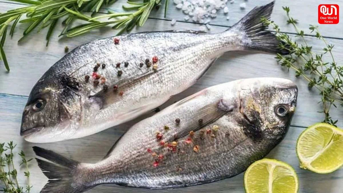 Benefits of eating fish : मछली के सेवन से बढ़ाएं मस्तिष्क की शक्ति, जानें 5 खास लाभ 1 Benefits of eating fish