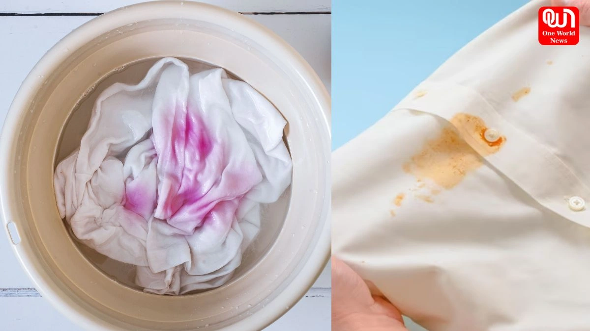 Stain Removal : सफेद कपड़े और तेल के दाग, जानिए कैसे करें बिना झंझट साफ 1 Stain Removal