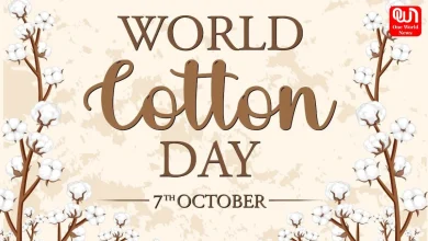 World Cotton Day 2024