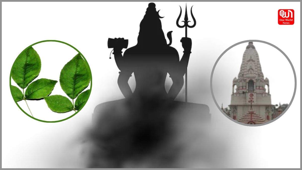 Lord Shiva Temple In UP: यूपी के इस जिले में है भगवान शिव का चमत्कारी मंदिर, 1100 साल पहले पृथ्वी से निकला था पत्थर, जानें रोचक कथा 1 Lord Shiva Temple In UP